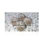 Rainbow Moonstone Orgone Balls - 50mm