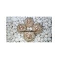 Crystal Quartz Orgone Balls - 50mm