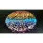Chakra Orgone Round Vastu Plate - 6.5 Inches