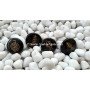 Black Jasper Disc Reiki Set