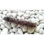 Amethyst Orgone 4 Faceted Tower