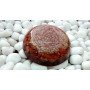 Red Jasper Orgone Dome