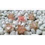 Orgone Rose Quartz Merkaba Star - Healing Crystal Energy