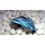 Blue Onyx 2-Inch Bowls - Exquisite Handcrafted Tableware at Anabia Agate