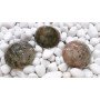 Moss Agate 2-Inch Bowls: Natural Stone Decor for Your Home