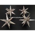Dalmatian Jasper 12-Pointed Star - Beautifully Handcrafted Healing Crystal
