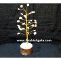 Gomti Chakra (Shells) 30 Beads Tree - Natural Healing Product | Spiritual Home Decor