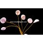 Gomti Chakra (Shells) 30 Beads Tree - Natural Healing Product | Spiritual Home Decor