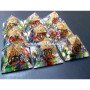 Mix Chips Orgone Baby Pyramid - Powerful Energy Healing Crystal