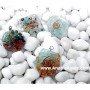 Mix Shape Orgone Pendants | Handcrafted Energy Healing Jewelry