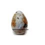 Rainbow Moonstone Usui Reiki Engraved Egg - Healing Crystal Energy