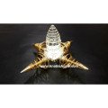 Crystal Shree Yantra with Golden Vortex Energy Generator - Enhance Your Spiritual Energy