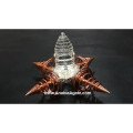 Crystal Quartz Shree Yantra & Copper Vortex Energy Generator