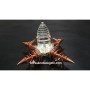 Crystal Quartz Shree Yantra & Copper Vortex Energy Generator