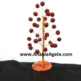 Rudraksha Tree - 30 Beads for Spiritual Practice