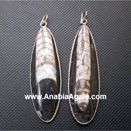 Orthoceras Fossil Pendants - 3 inches | Fossil Jewelry