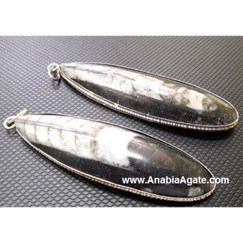 Orthoceras Fossil Pendants - 3 inches | Fossil Jewelry