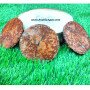 Red Jasper Orgone Coasters Wholesale