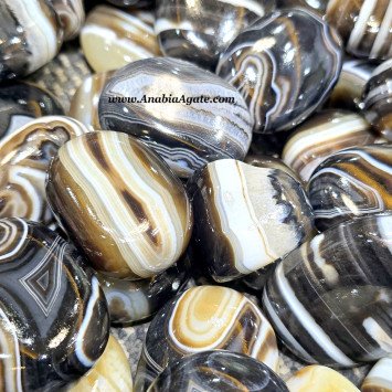 Sulemani Agate Palm Stones - Natural Healing Crystals for Balance and Calm